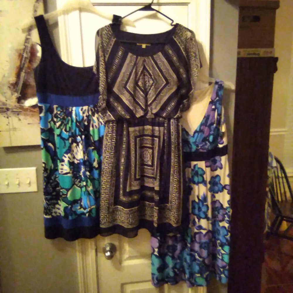 Lot of 3 dresses Ladies Size 10 Ronni Nicole, Sandra Darren, Ronni Nicole